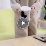 Wysoce skuteczna pułapka na komary – video