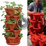 Zestaw sadzarek pionowych (3 szt.) – video
