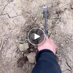 Wielofunkcyjne grabie do chwastów – video