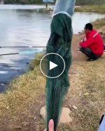 Składana sieć rybacka – video