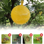 1qmsa001tg51d-t5.png