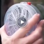 Słoneczny łapacz owadów na okno – światło UV, 8 godzin pracy – video